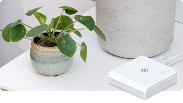 Hive Hub sitting on a white unit next to a large concrete plant pot and a smaller ceramic plant pot with a leafy green plant inside it