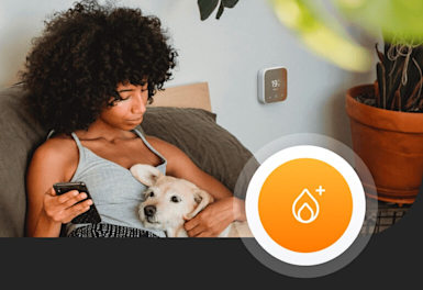 Woman sitting on a dark grey sofa cuddling a small dog in one hand and holding a smartphone in her other hand, and a Hive Thermostat Mini attached to the grey painted wall in the background, with a superimposed Hive Heating Plus logo in the bottom right corner