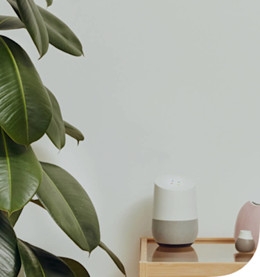 Google Speaker and ceramic pots sitting on a glass and wooden unit next to a tall green plant on the left and a grey painted wall in the background