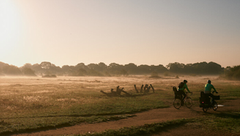 How to save money with smart lights