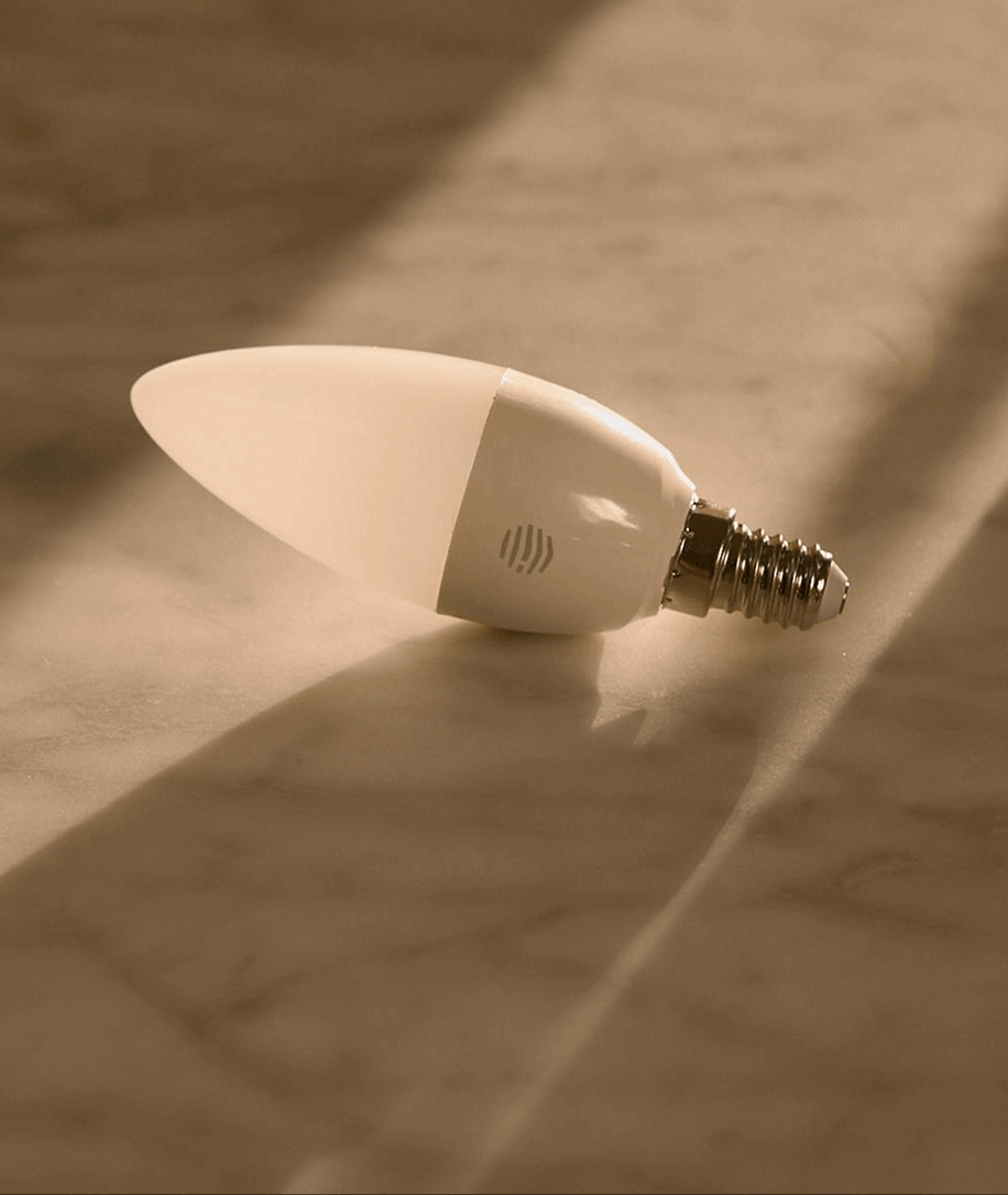 Hive Lights