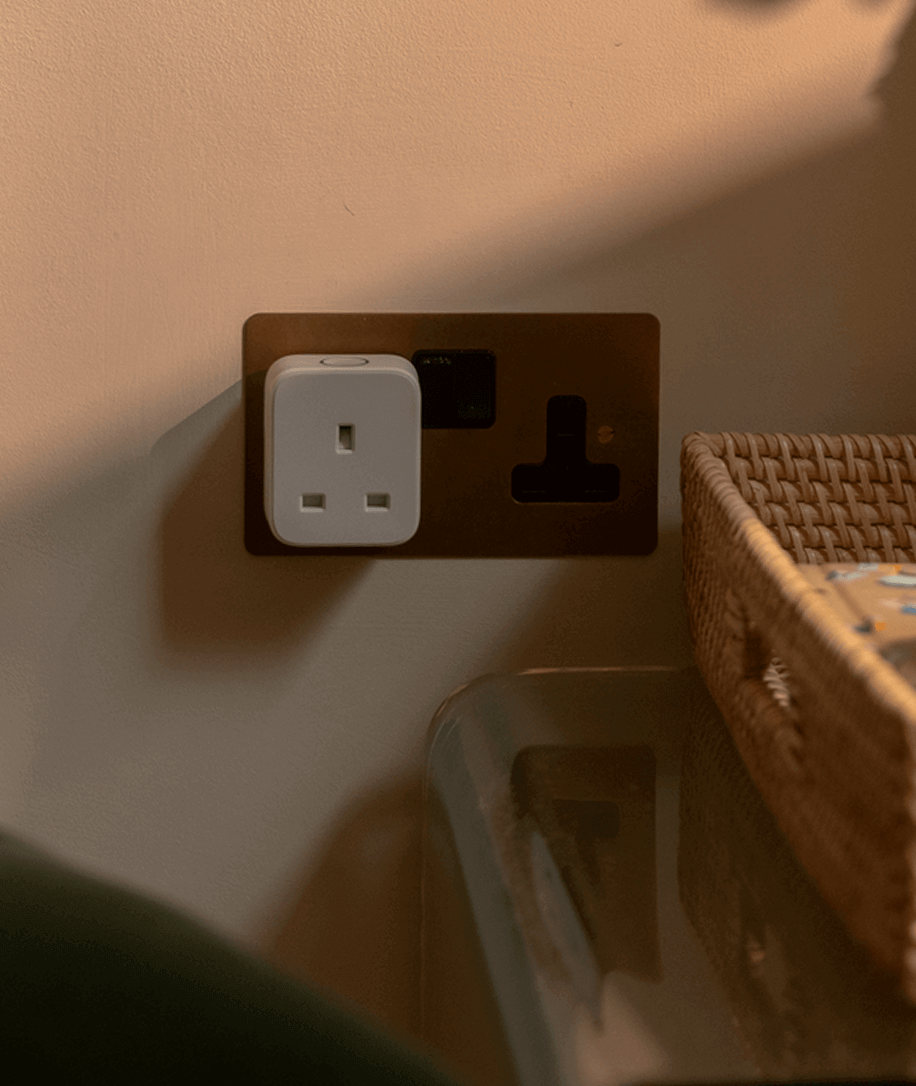 Hive Plug