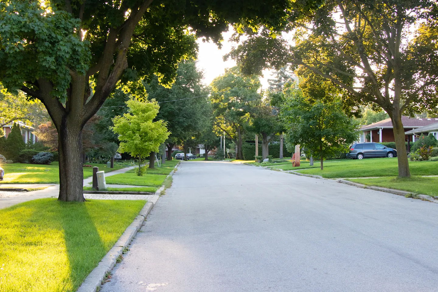 Tree-lined residential street in North York, with houses and cars in the background.
