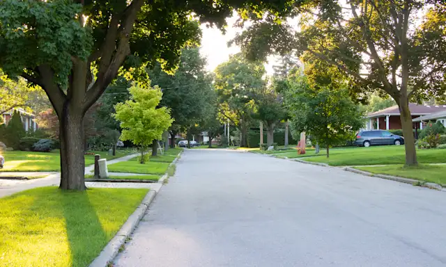 Tree-lined residential street in North York, with houses and cars in the background.