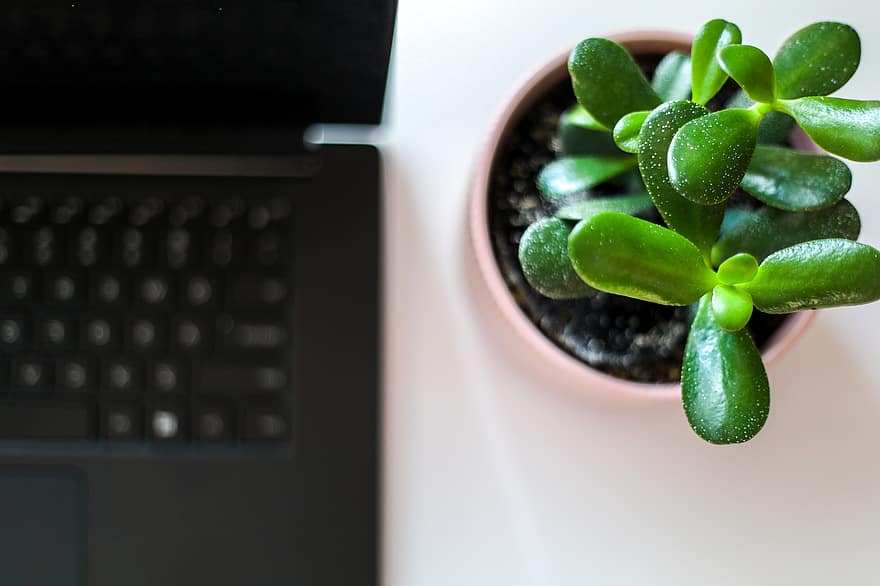 5 Simple Tips to Decorate your office