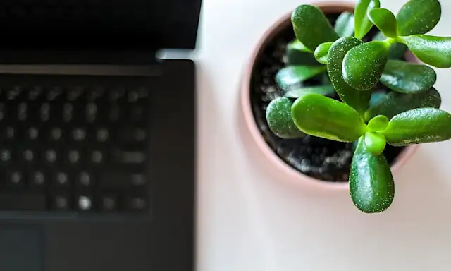 5 Simple Tips to Decorate your office