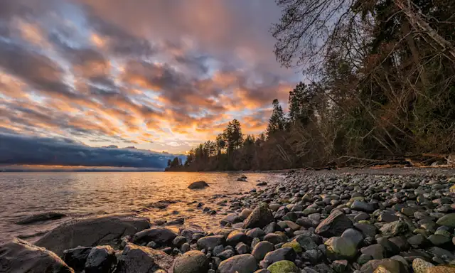 Rocky shoreline at sunset near Courtenay, with trees along the coast and a colourful sky.