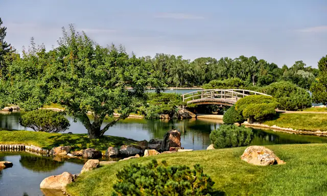 Scenic garden in Lethbridge featuring a wooden bridge over a pond surrounded by lush greenery.