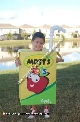 coolest-homemade-motts-juice-box-costume-12-21417177
