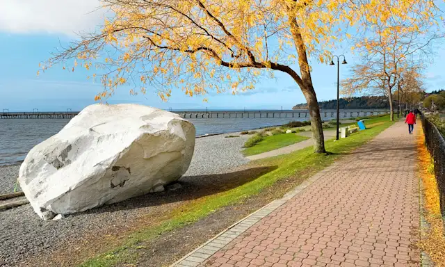 Scenic view of White Rock Beach in British Columbia with a large white boulder, tree-lined pathway, and a pier in the background.