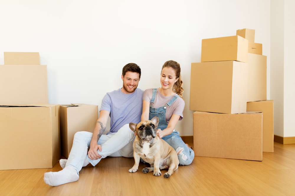 Couple sitting on the floor with their dog, surrounded by moving boxes.