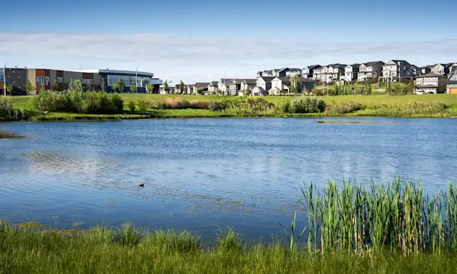 Lake with grassy shoreline in Airdrie, with residential houses and buildings in the background.