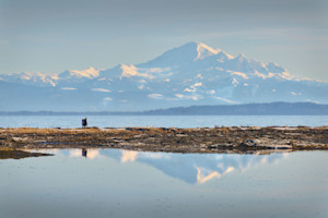 Snow-capped mountain view from Delta, British Columbia, with reflections in water