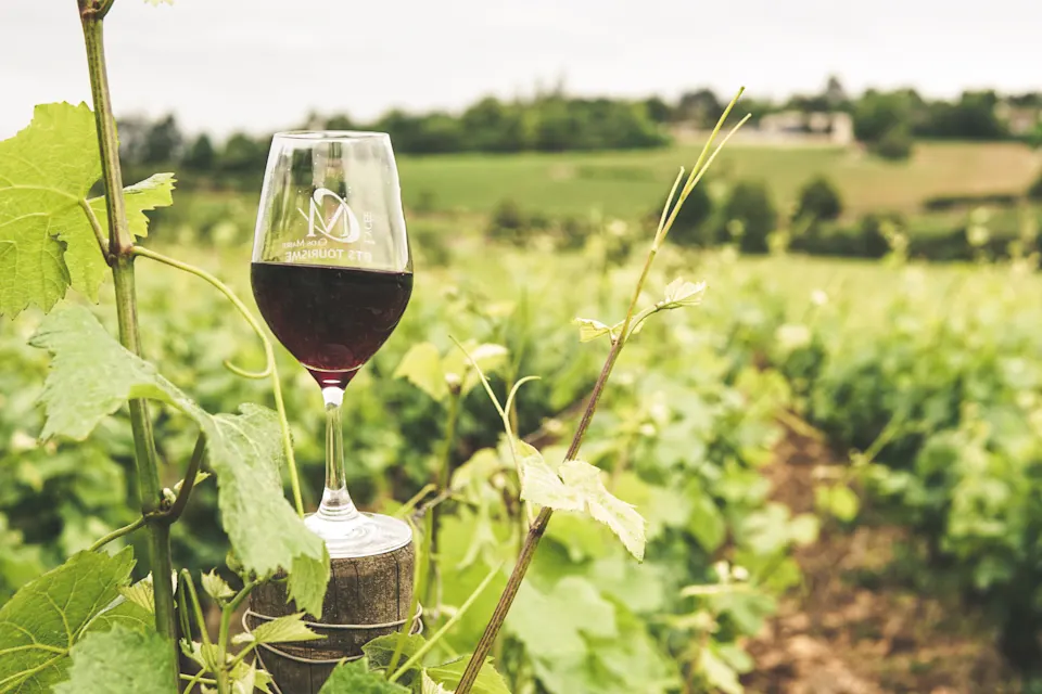 A glass of red wine sits on a post in the middle of a vineyard, with lush green vines and rolling hills in the background.