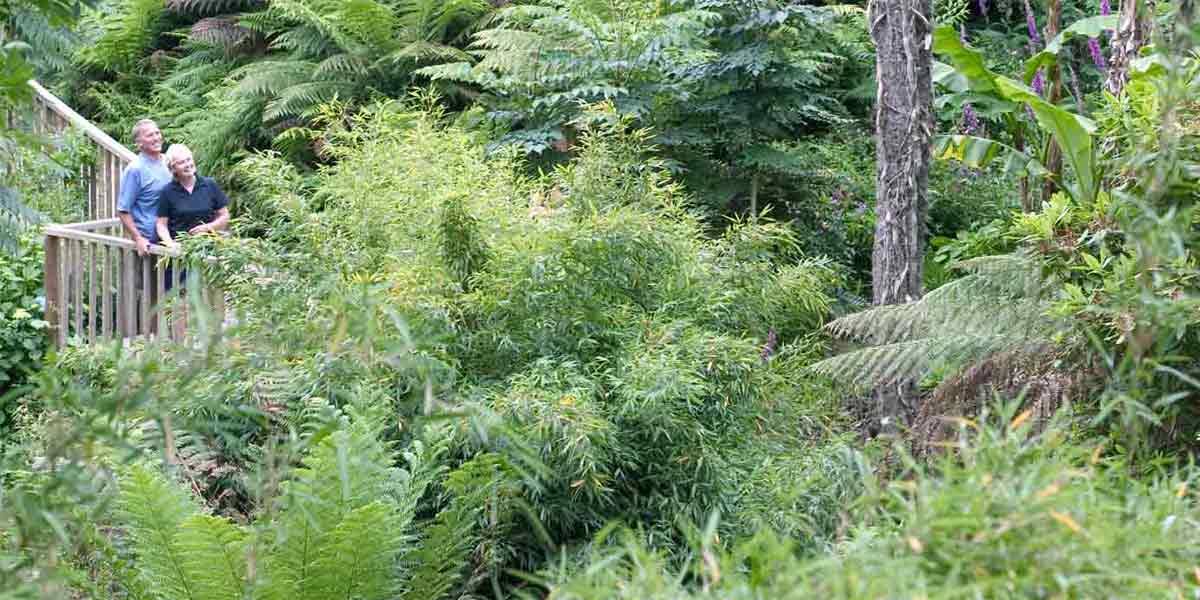 Heligan-P1-VisitBritain1