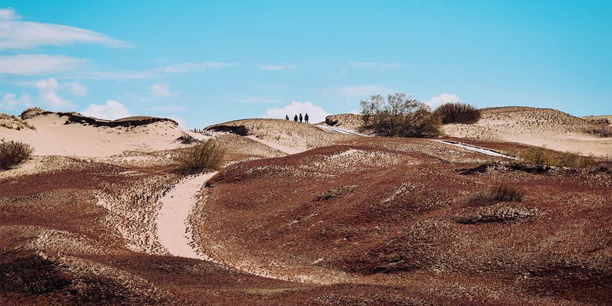 Curonian Spit