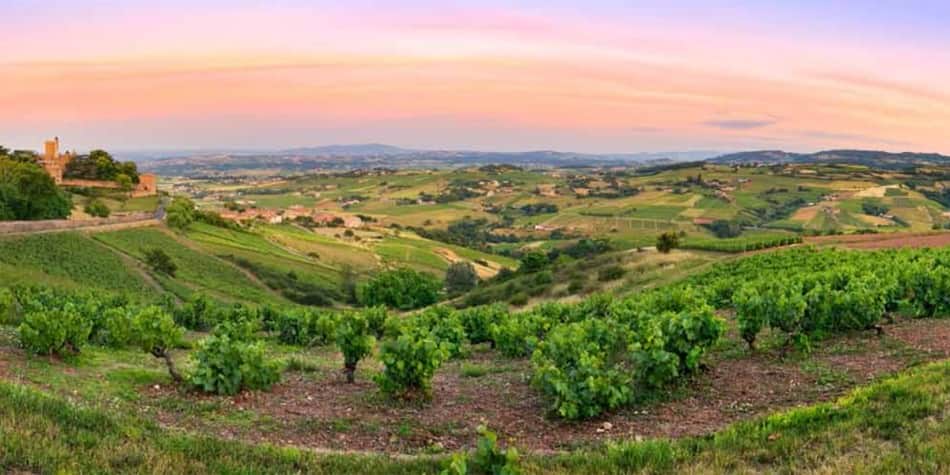 Wine regions in France - Beaujolais