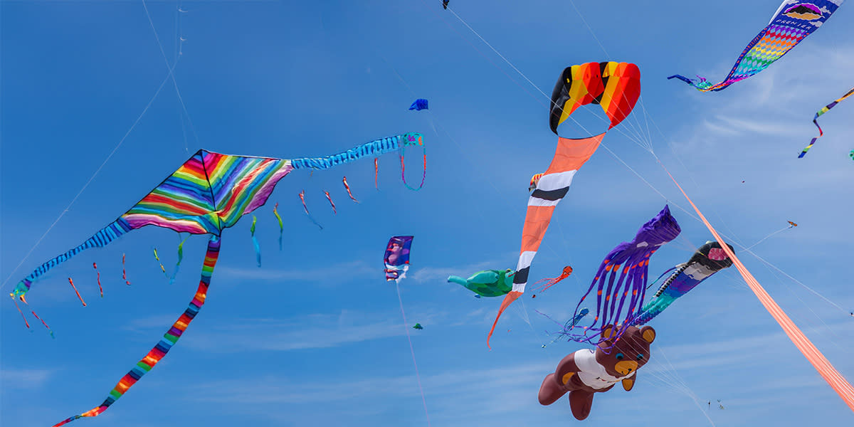 DINE Kite Festival Hero DINE Kite Festival Hero