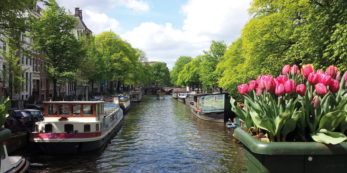 Amsterdam in bloom