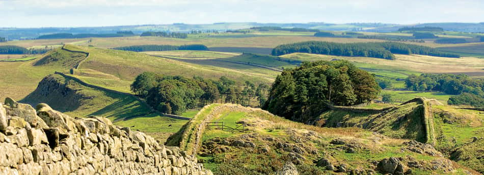 northumberland-coast-1386x500