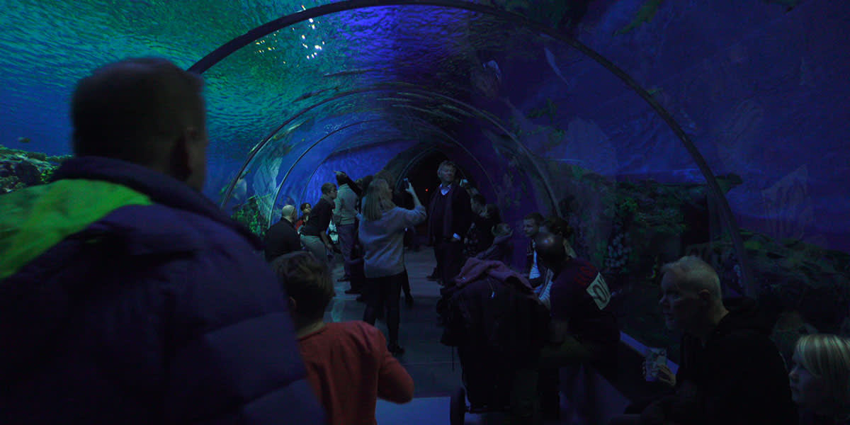 tunnel at blue planet aquarium