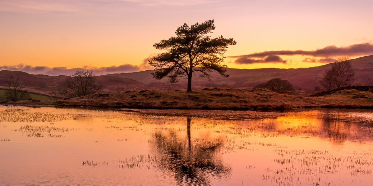 Autumn Overview THINK Box2d LakeDistrict