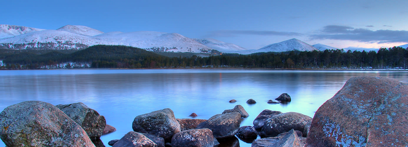 See in Cairngorms National Park