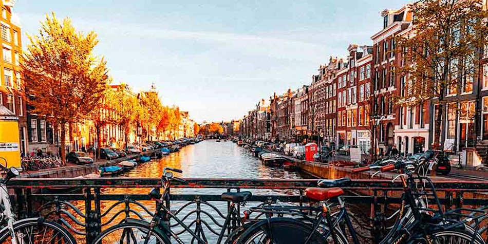 Autumn in Amsterdam, orange trees.