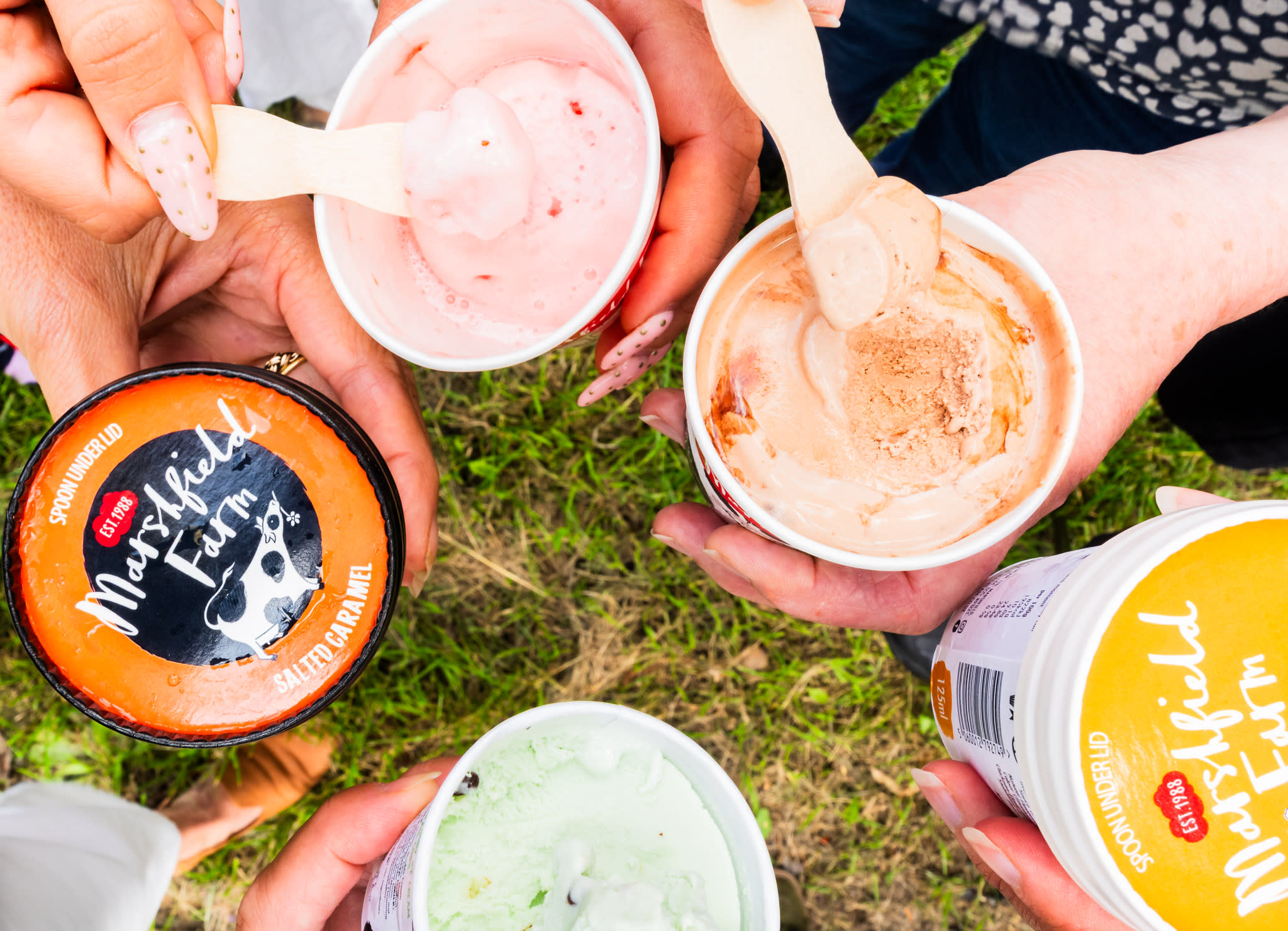 Marshfield's Farm ice cream pots Marshfield's Farm ice cream pots