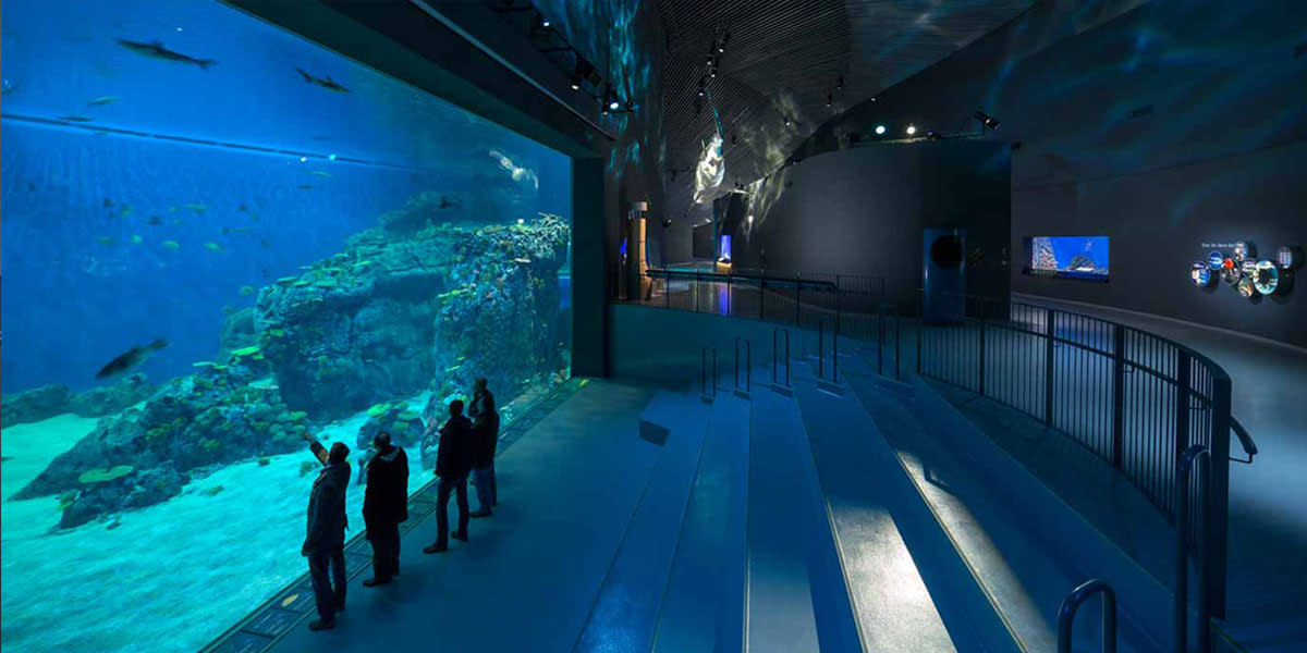 tank at blue planet aquarium