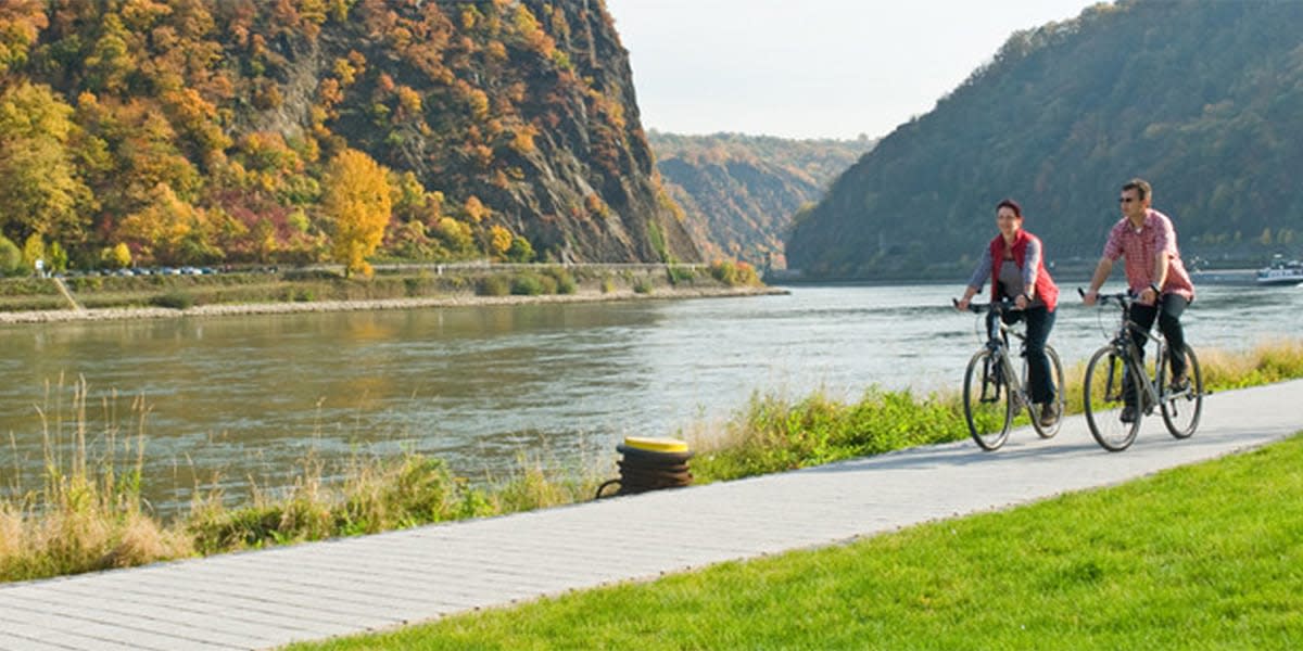 The Moselle and Rhine Valleys - cycling