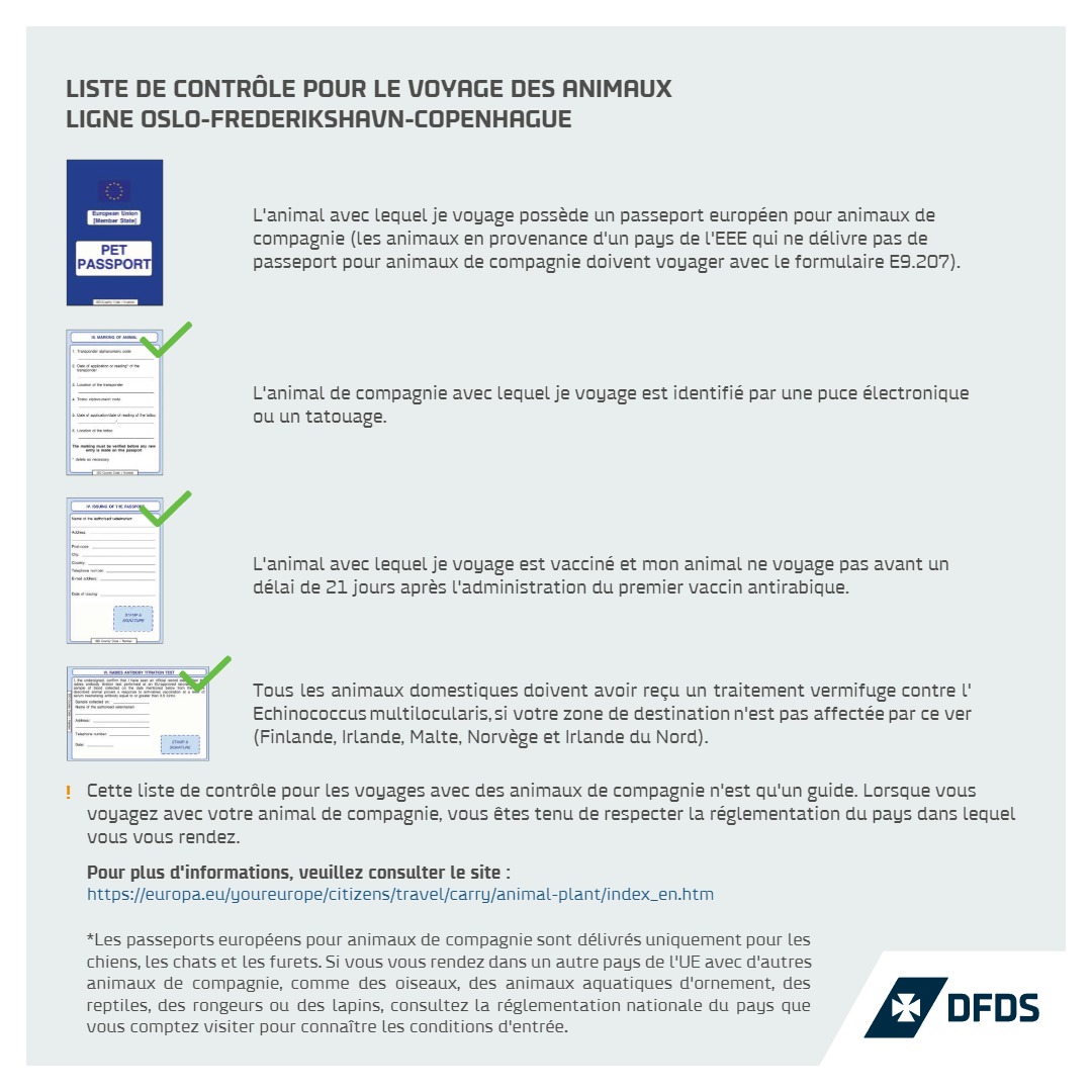 Comment transporter un animal de compagnie en voiture? - Europ Assistance