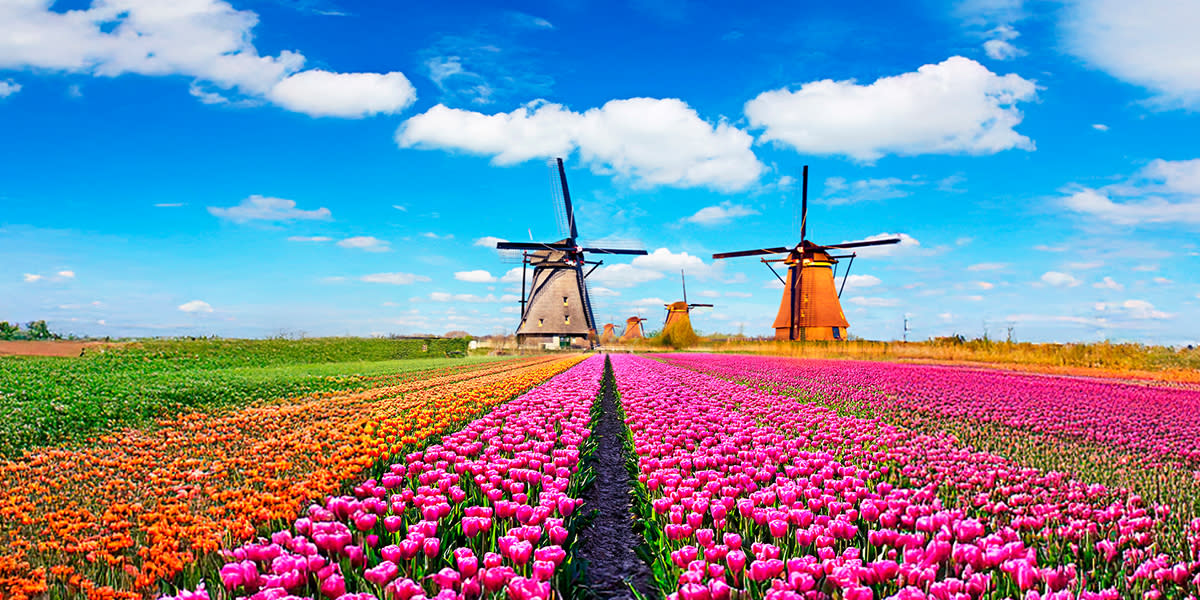 GL EBO25 26 Web Netherlands 1200x600