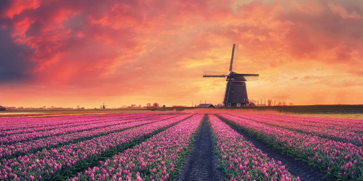 Holland windmill