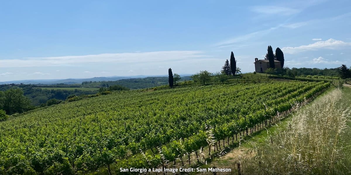 Hills of vineyards at Winery San Giorgio a Lapi 