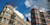 The Hague
