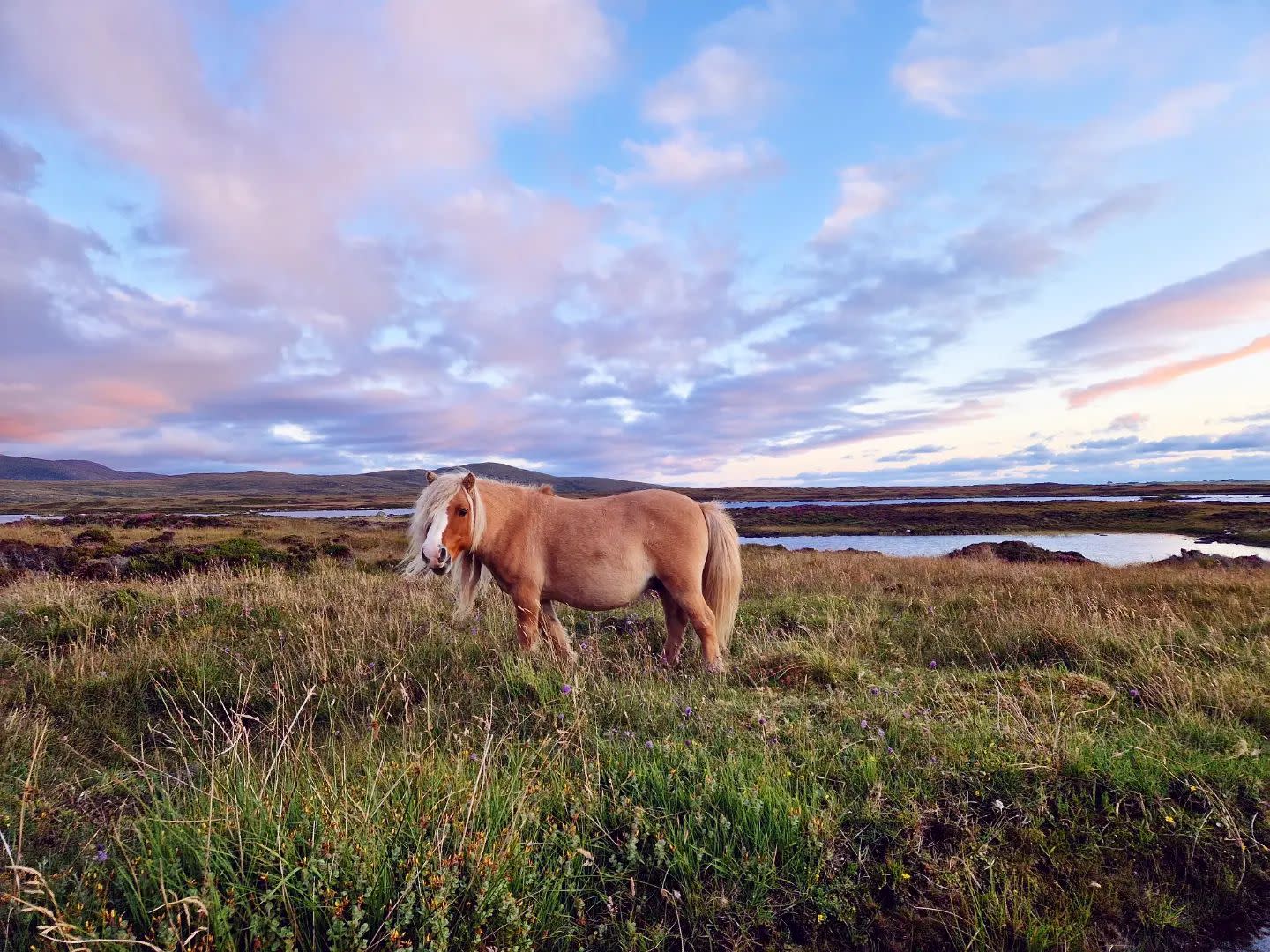 UIST - Long Island Retreats @hannyscountrylife