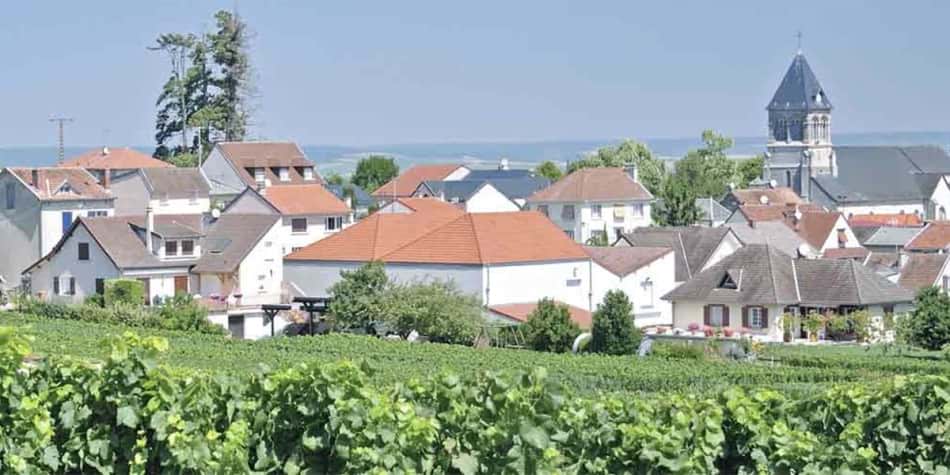 Wine regions in France - Champagne