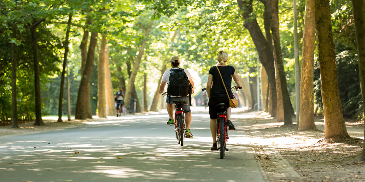 Enjoy a picnic in Vondelpark 1200x600