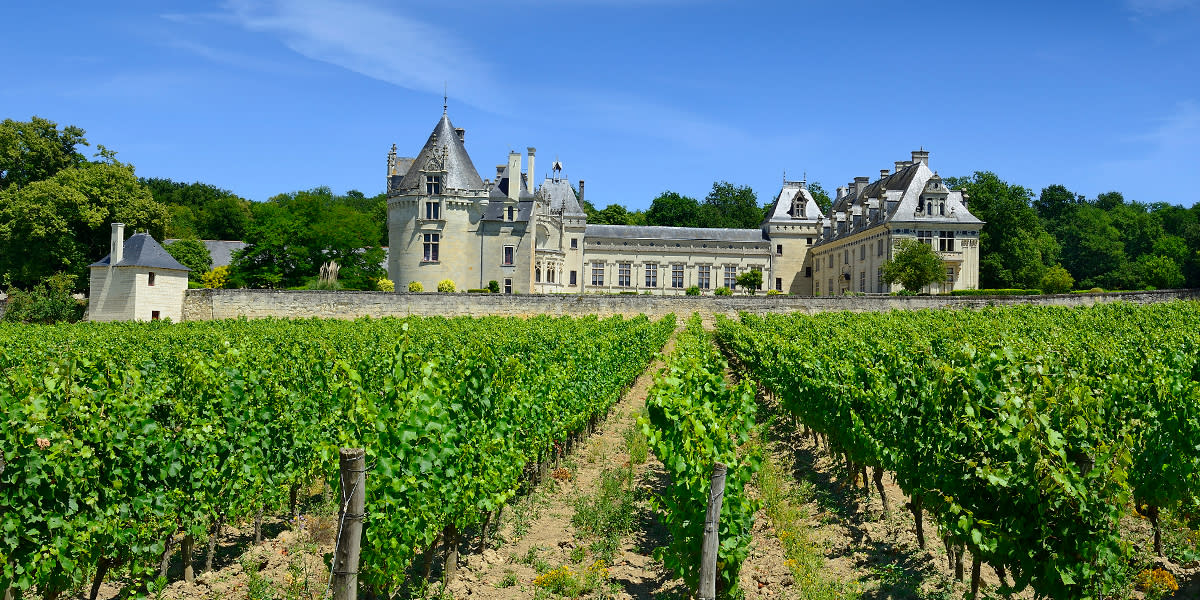 Things To Do In Loire Valley 