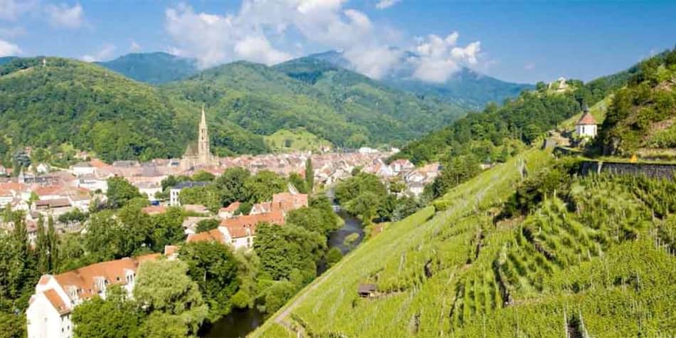 Wine regions in France - Alsace