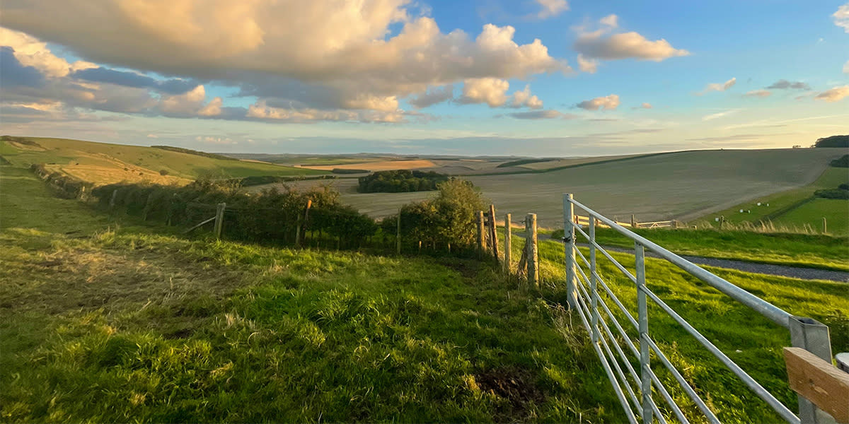 North Wessex Downs National Park