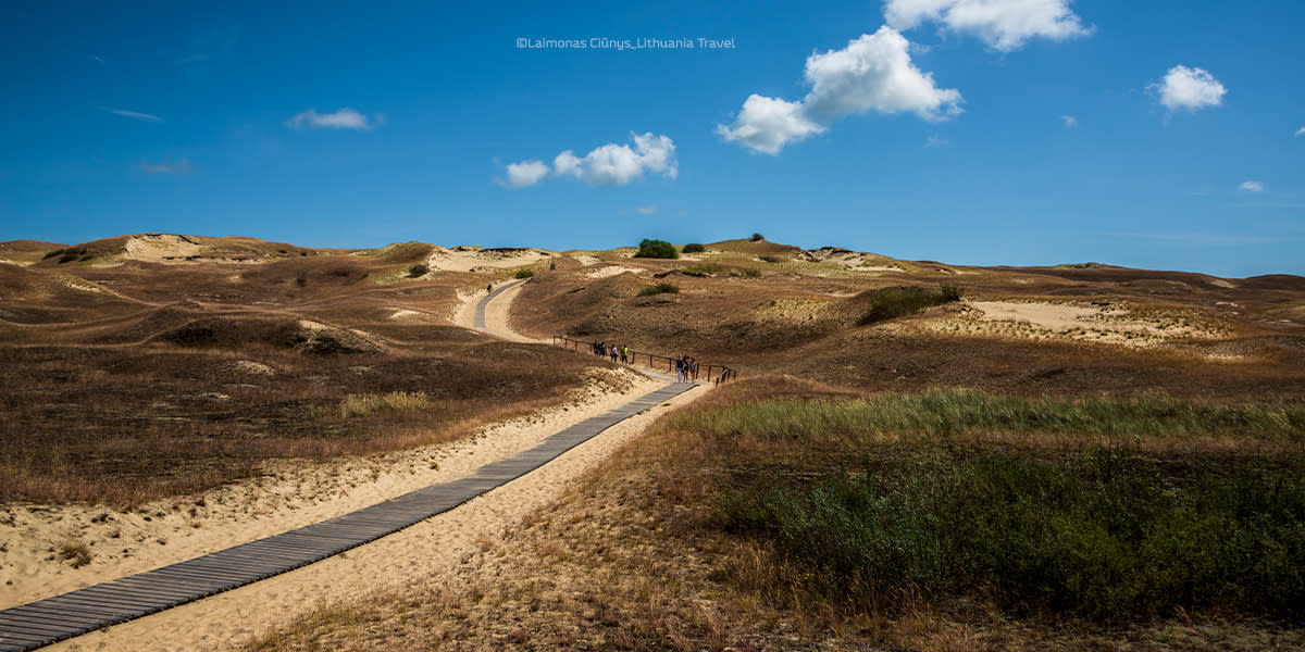 Dune, The Curonian Spit, Lithuania