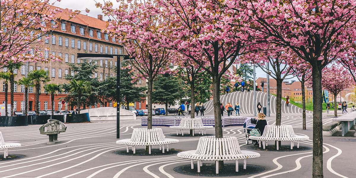 Spring in Copenhagen, Cherry blossom - Photo Credit: Martin Heiberg