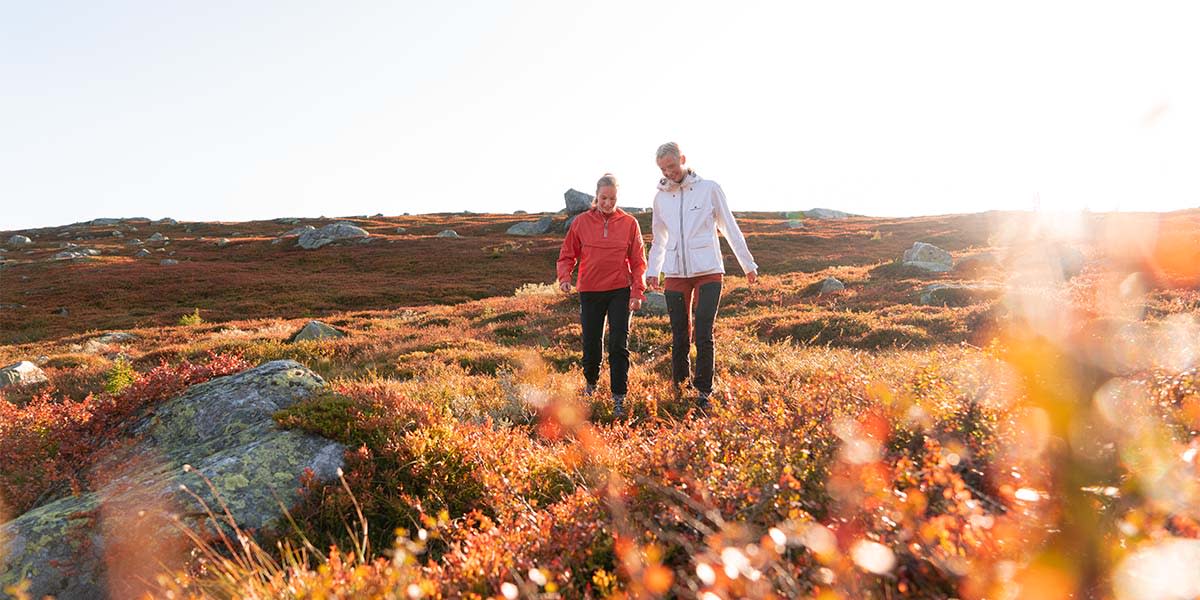 Norefjell - hiking