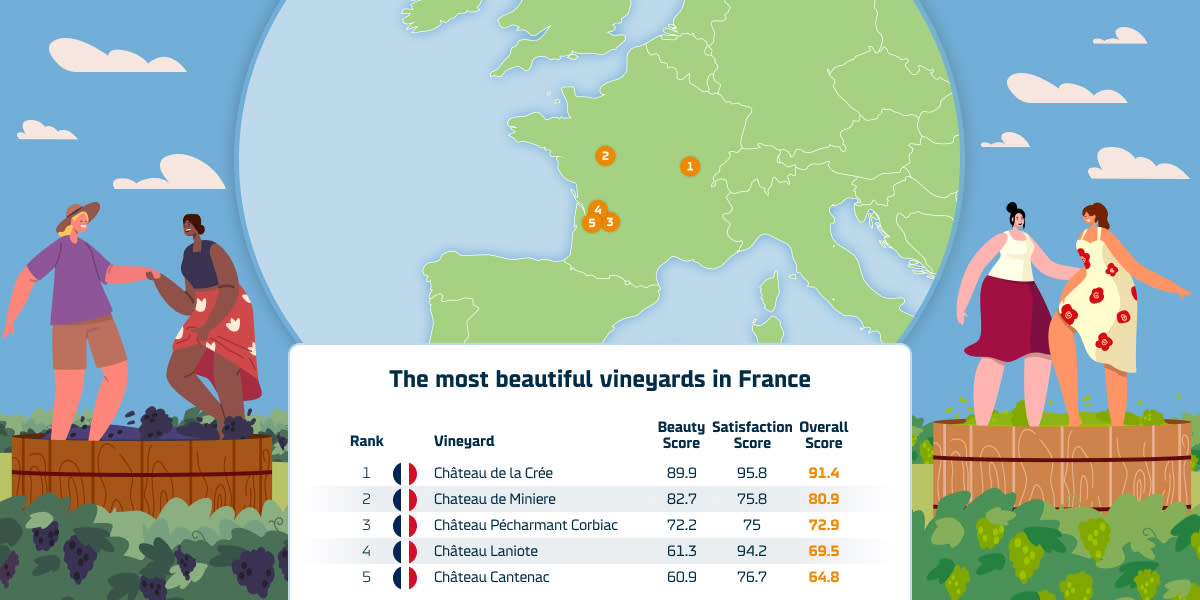 The most beautiful vineyards in France