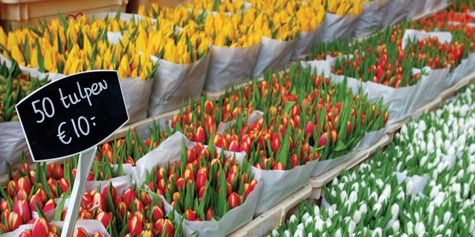 Blomstermarknad i Amsterdam