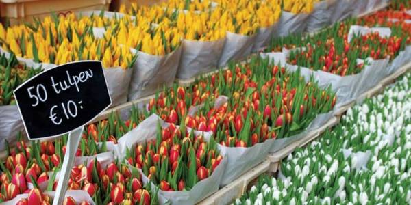 Amsterdam flower markets