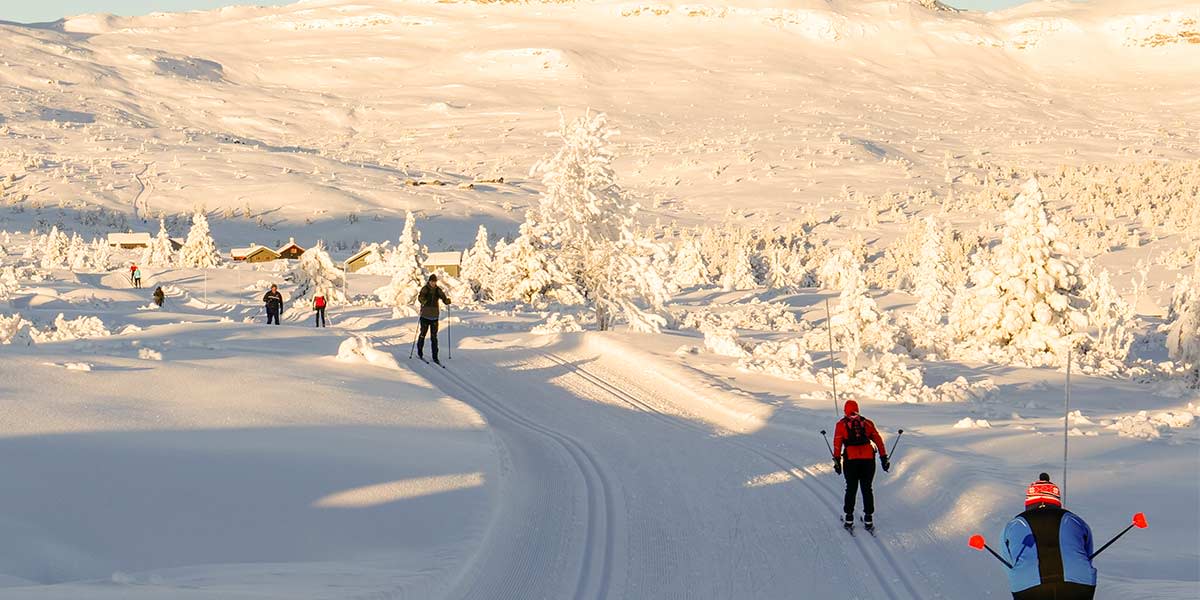 Langrend Skeikampen Credit VisitSkeikampen.no