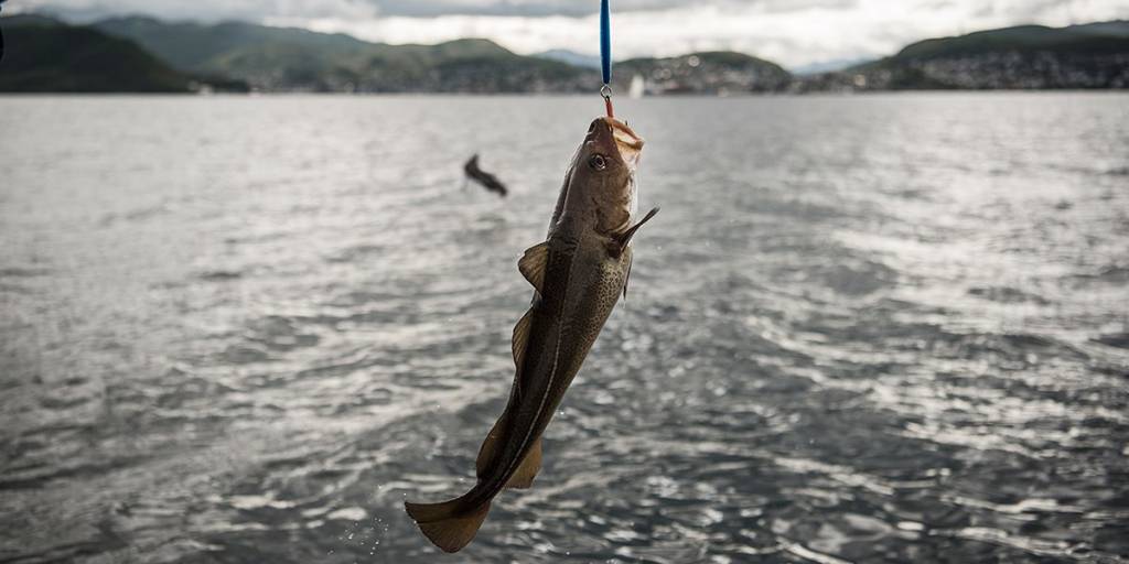 Fishing in Norway - Photo credit: Benjamin A Ward - VisitNorway.com